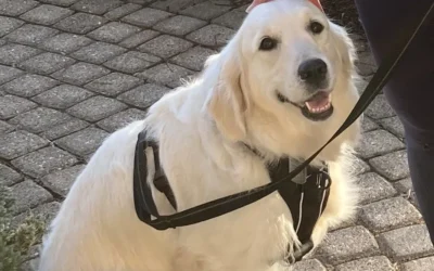 When Doing What Matters Means Doing What’s Hard